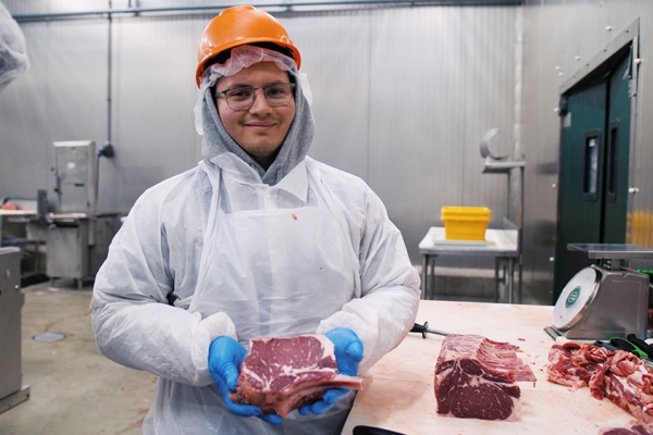 Professional Chefs and Butchers Cutting Meat