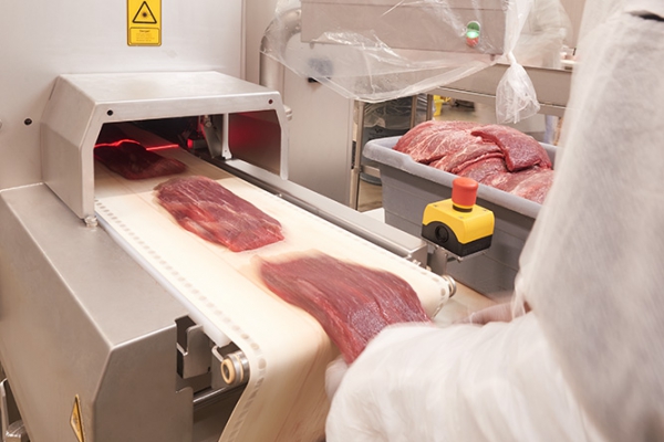Exceptional Foods Meat Preparation